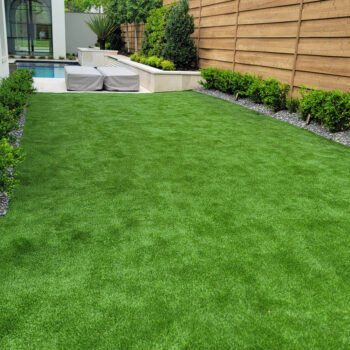 Clean, dog poop-free yard in University Park, Dallas, TX