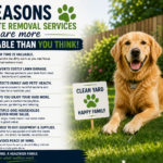 Seven Reasons Why Pet Waste Removal Services Are More Affordable Than You Think